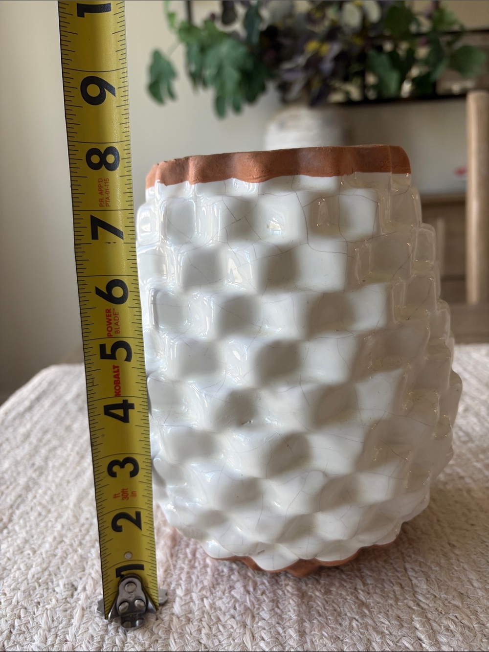 Crate & Barrel Textured Ceramic Planter in White with Terracotta Rim